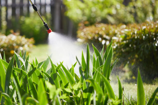 24/7 Emergency Wasp Removal experts in Kincheloe, MI