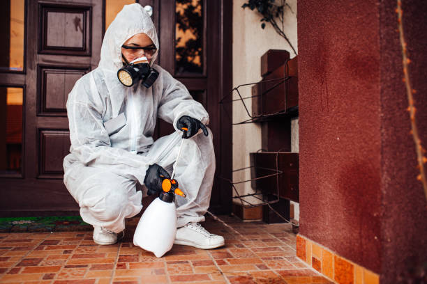 Reliable Wasp Removal contractor in Kincheloe, MI by Show Me Pest Control